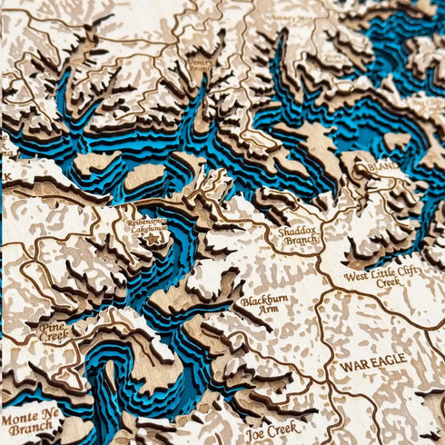 Close-up of Beaver Lake 3D map highlighting arms and terrain