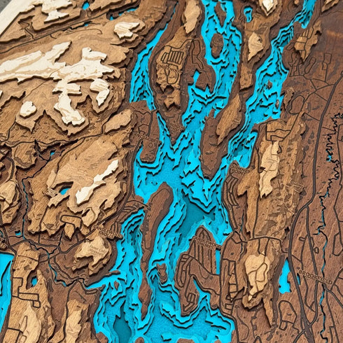 Close-up of Candlewood Lake layered wood shoreline details