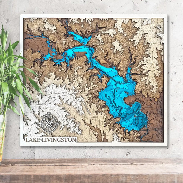 Lake Livingston map