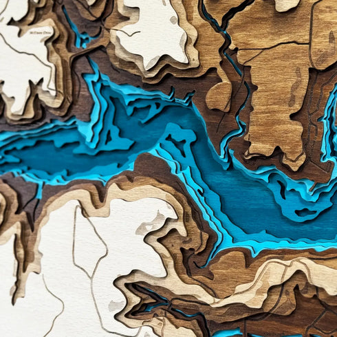 Close-up of Lake Coleman wood map showing detailed contour lines and blue water layers.